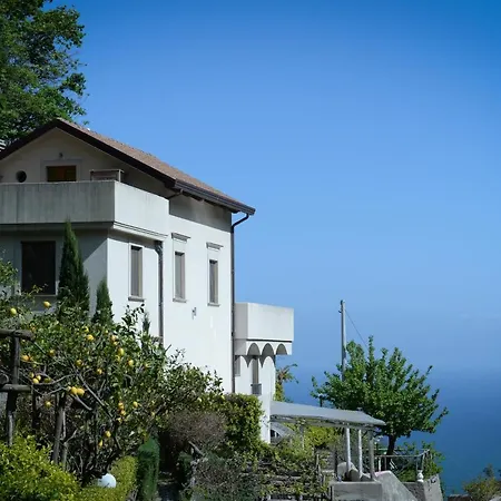 Appartement Sparse 7 *