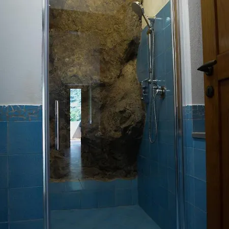 Sparse 7 Appartement