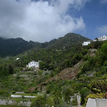 Sparse 7 Appartement *